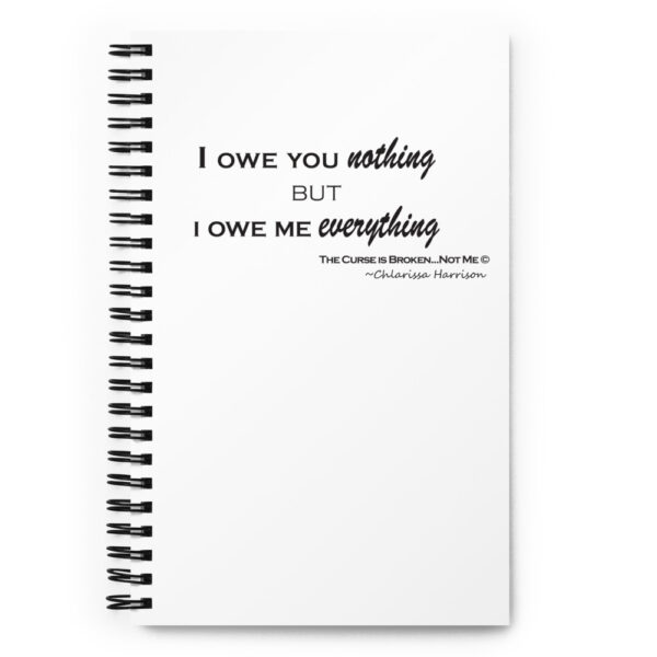 I owe you nothing - Spiral notebook